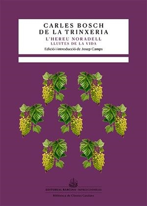 L'hereu Noradell | 9788416726615 | Bosch de la Trinxeria, Carles