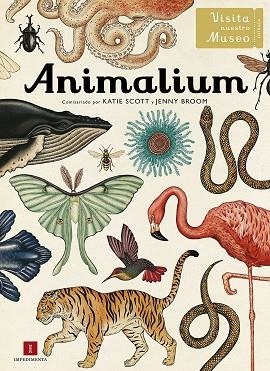 Animalium | 9788415979463 | Broom, Jenny