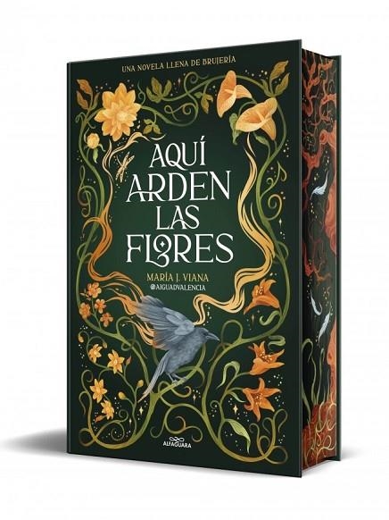 Aquí arden las flores | 9791387741662 | , @aiguadvalencia