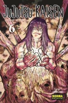 JUJUTSU KAISEN 06 (NUEVO PVP) | 9788467961164 | Akutami, Gege