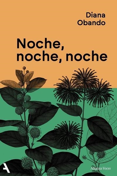 Noche, noche, noche | 9791370093235 | Obando, Diana