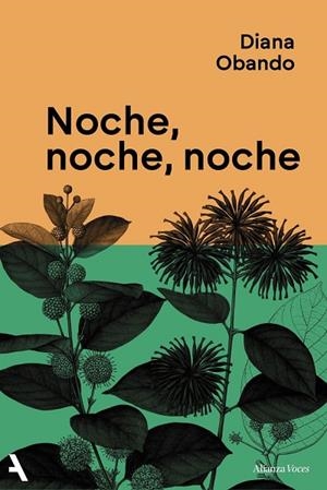 Noche, noche, noche | 9791370093235 | Obando, Diana