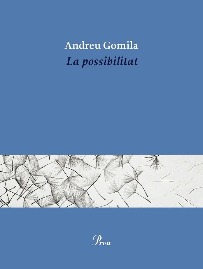 La possibilitat | 9791388369155 | Gomila Llobera, Andreu