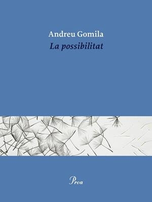La possibilitat | 9791388369155 | Gomila Llobera, Andreu