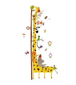 Medidor El amics de l'Amazones | 3070900040373